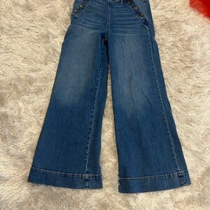 American Eagle Outfitters Dark Blue Flare Jeans